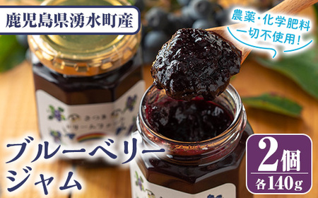 ブルーベリージャム(計2個・140g×2) 果物 くだもの フルーツ ジャム ベリー 自家製 パン ヨーグルト 朝食 食品 加工品 常温 【体験型観光農園さつまドリームファーム】_y529