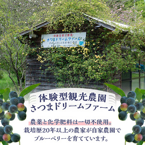 ブルーベリージャム(計2個・140g×2) 果物 くだもの フルーツ ジャム ベリー 自家製 パン ヨーグルト 朝食 食品 加工品 常温 【体験型観光農園さつまドリームファーム】_y529