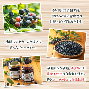 ブルーベリージャム(計2個・140g×2) 果物 くだもの フルーツ ジャム ベリー 自家製 パン ヨーグルト 朝食 食品 加工品 常温 【体験型観光農園さつまドリームファーム】_y529