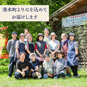 ブルーベリージャム(計2個・140g×2) 果物 くだもの フルーツ ジャム ベリー 自家製 パン ヨーグルト 朝食 食品 加工品 常温 【体験型観光農園さつまドリームファーム】_y529