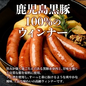 ＜定期便・全3回＞《業務用・訳あり》鹿児島県産黒豚荒挽きウィンナー(総計5.4kg・900g×2P×3回) 国産 九州産 黒豚 豚肉 ウインナー ソーセージ フランクフルト 惣菜 おかず 弁当 BBQ キャンプ 冷凍 訳アリ 【ナンチク】_y569