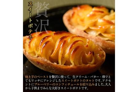 Y158 鹿児島特産スイートポテト タルト 湧水の里 55g 8個 焼き芋のペーストを贅沢に ブルーベリーをアクセントに仕上げたさつま芋スイーツ きくすい堂 鹿児島県湧水町 ふるさと納税サイト ふるなび