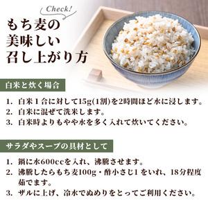 ダイシモチ もち麦 200g×5袋 【福永商店】 もち麦 雑穀 _y215
