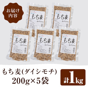 ダイシモチ もち麦 200g×5袋 【福永商店】 もち麦 雑穀 _y215