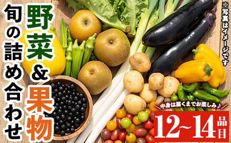 y358 野菜と果物旬の詰め合わせ(12～14品目)【鹿児島県経済農業協同組合連合会】