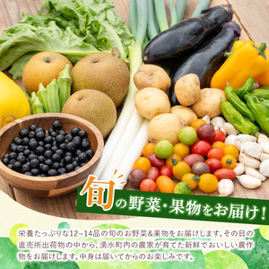 y358 野菜と果物旬の詰め合わせ(12～14品目)【鹿児島県経済農業協同組合連合会】