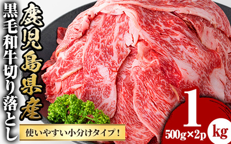 y427 鹿児島県産黒毛和牛切落し(計1kg・500g×2P) 国産 九州産 牛肉 黒牛 黒毛和牛 和牛 お肉 赤身 切り落とし 切り落し 焼肉 肉じゃが 野菜炒め 炒め物 冷凍【さつま屋産業】