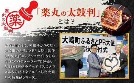 数量限定【薬丸の太鼓判】鹿児島県産うなぎ長蒲焼特大2尾（220g以上2尾）｜希少 うなぎ 鰻 ウナギ 貴重 うなぎ 鰻 ウナギ 太鼓判 うなぎ 鰻 ウナギ グルメ うなぎ 鰻 ウナギ おすすめ うなぎ 鰻 ウナギ 特大 うなぎ 鰻 リッチ ウナギ 大隅 産地直送 うなぎ 超特大 鰻 ウナギ うなぎ 鰻  高級 地元養鰻 うなぎ 鰻 プレミア ウナギ ふっくら うなぎ 鰻 ウナギ ブランド うなぎ プレミアム 鰻 特上 うなぎ 鰻 ウナギ ふわふわ シラスうなぎ うなぎ 鰻 ウナギ 国産うなぎ 特産品 うなぎ お取り寄せ うなぎ 大人気 うなぎ 稚魚から養鰻うなぎ 鹿児島県 大崎町 送料無料