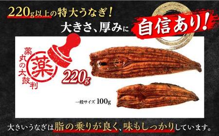 数量限定【薬丸の太鼓判】国産うなぎ長蒲焼特大2尾（220g以上2尾） 絶品うなぎ 鰻蒲焼き 鹿児島県産うなぎ 魚 魚介 グルメ 人気うなぎ おすすめうなぎ