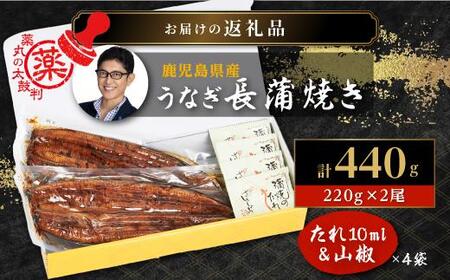 数量限定【薬丸の太鼓判】鹿児島県産うなぎ長蒲焼特大2尾（220g以上2尾）｜希少 うなぎ 鰻 ウナギ 貴重 うなぎ 鰻 ウナギ 太鼓判 うなぎ 鰻 ウナギ グルメ うなぎ 鰻 ウナギ おすすめ うなぎ 鰻 ウナギ 特大 うなぎ 鰻 リッチ ウナギ 大隅 産地直送 うなぎ 超特大 鰻 ウナギ うなぎ 鰻  高級 地元養鰻 うなぎ 鰻 プレミア ウナギ ふっくら うなぎ 鰻 ウナギ ブランド うなぎ プレミアム 鰻 特上 うなぎ 鰻 ウナギ ふわふわ シラスうなぎ うなぎ 鰻 ウナギ 国産うなぎ 特産品 うなぎ お取り寄せ うなぎ 大人気 うなぎ 稚魚から養鰻うなぎ 鹿児島県 大崎町 送料無料