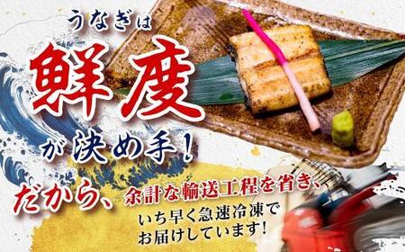 鹿児島県産うなぎカット白焼き6袋 計300g以上（パック個包装