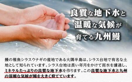 鹿児島県大隅産 備長炭手焼き うな丼パック 4袋入(280g)