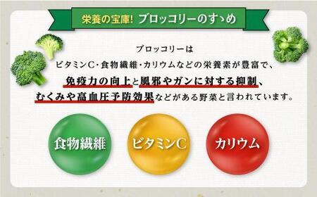 鹿児島県産　冷凍ブロッコリー　200g×8パック