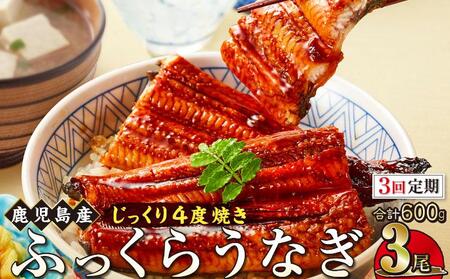 【3回定期】うなぎ 蒲焼 200g×3尾【鹿児島産】地下水で育てた絶品鰻