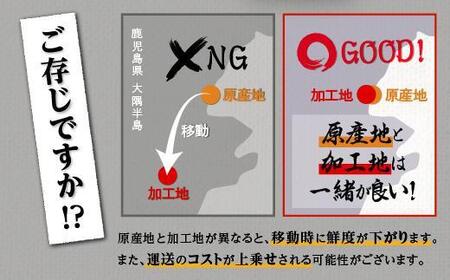 鹿児島県産うなぎ長蒲焼9尾（合計1.5kg以上）