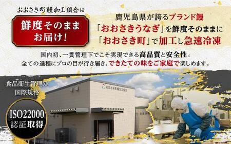 【お試し】鹿児島県産長蒲焼特大1尾（200g以上×1尾）【鰻 国産うなぎ蒲焼き たれ うな重 ひつまぶし ウナギ 蒲焼 特大 人気 おすすめ 鹿児島県 大崎町 A931】