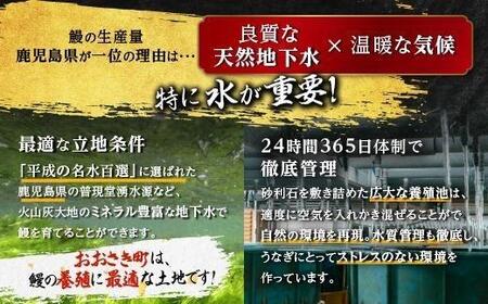 【お試し】鹿児島県産長蒲焼特大1尾（200g以上×1尾）【鰻 国産うなぎ蒲焼き たれ うな重 ひつまぶし ウナギ 蒲焼 特大 人気 おすすめ 鹿児島県 大崎町 A931】