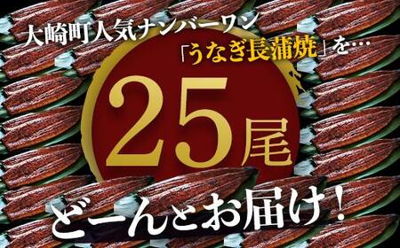 どーんとお届け!特大25尾 鹿児島県産長蒲焼