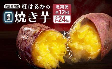 【定期便全12回】紅蜜芋 紅はるかの焼き芋定期便2kg