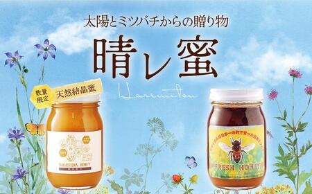 【鹿児島県大崎町産】希少種 日本ミツバチの「はちみつ」600g
