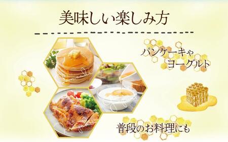 【鹿児島県大崎町産】希少種 日本ミツバチの「はちみつ」600g