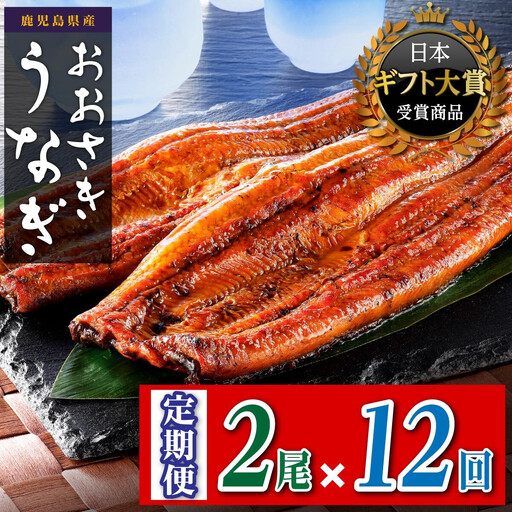 【定期便】おおさきうなぎ 鹿児島県産 うなぎ 長蒲焼2尾（全12回）合計24尾