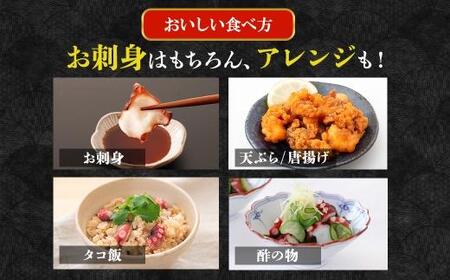 【数量限定】極上地ダコのタコブツ