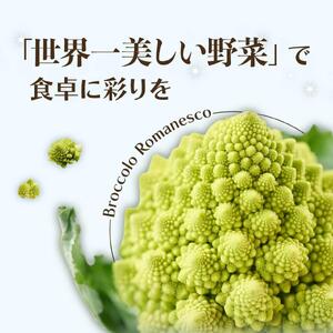 冷凍カットロマネスコカリフラワー 400g×2袋（800ｇ）