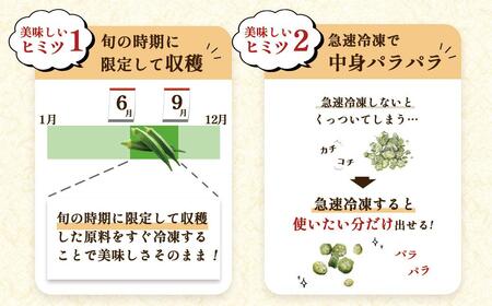 【定期便】鹿児島県産 冷凍 スライス オクラ (150g×6パック)×3回| オクラ