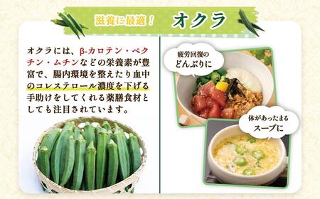 【定期便】鹿児島県産 冷凍 スライス オクラ (150g×6パック)×3回| オクラ