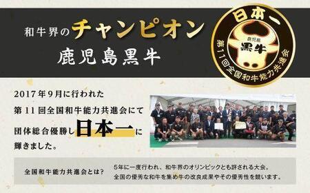 鹿児島県産 黒毛和牛 霜降（ロース・カルビ）赤身（モモ）焼き肉用 | 黒毛和牛