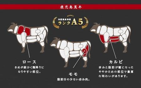 鹿児島県産 黒毛和牛 霜降（ロース・カルビ）赤身（モモ）焼き肉用 | 黒毛和牛