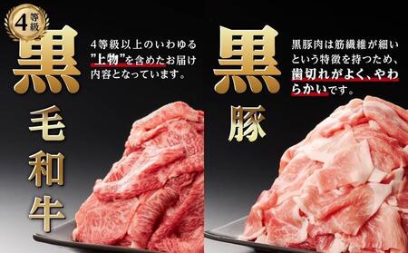 黒毛和牛・黒豚 “贅沢” 定期便 (計6回)