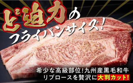 (復刻版)訳あり!九州産和牛ロース大判焼肉1kg(3枚~4枚)