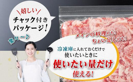 【定期便】豚肉4種 贅沢セット 2.25kg 全3回定期便