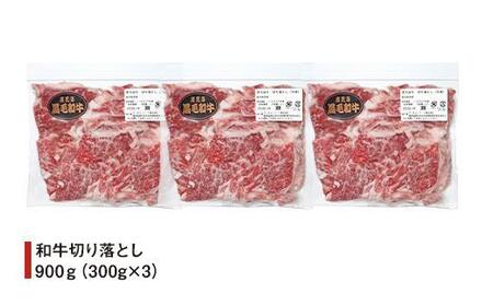 国産和牛切り落とし900g