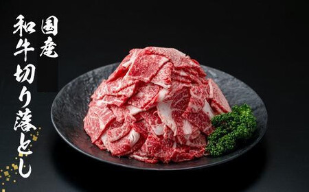 国産和牛切り落とし600g