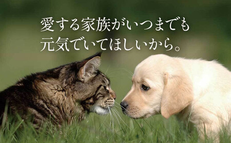 【鹿児島県大隅産】千歳鰻　うなぎ の 頭 の ペットフード　1袋6個入り×10袋｜ペットフード