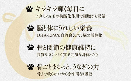 【鹿児島県大隅産】千歳鰻　うなぎ の頭の ペットフード　個包装　2袋計20個入り｜ペットフード