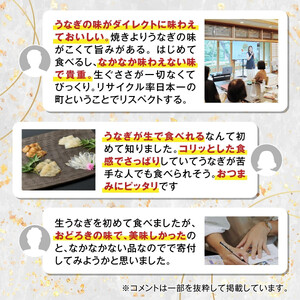 蒲焼かないうなぎ【おつまみ4種盛り2個 ESSEふるさとグランプリ金賞 】