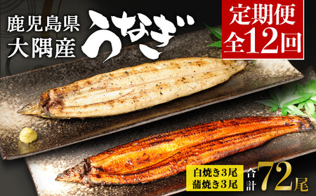 【定期便全12回】 鹿児島県 大隅産 千歳鰻 白焼き 3尾・ 蒲焼 3尾 （1尾110g～130g）| 白焼き