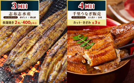 大崎町 うなぎ 食べ比べ定期便 全8回 | うなぎ