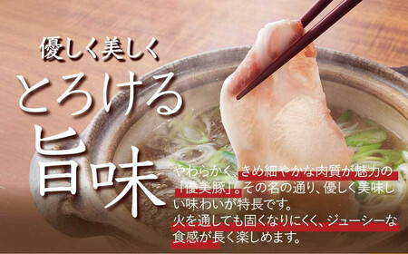 鹿児島県産黒豚「優美豚」ロース三昧セット