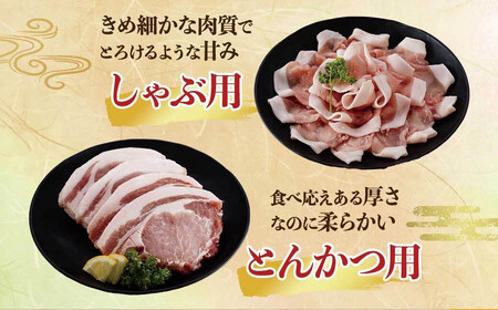 鹿児島県産黒豚「優美豚」ロース三昧セット