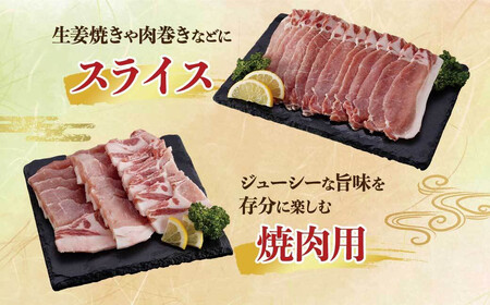 鹿児島県産黒豚「優美豚」ロース三昧セット