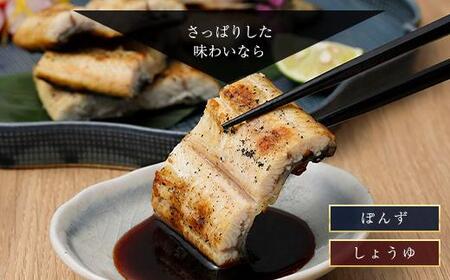 鹿児島県大隅産 千歳鰻の 白焼鰻「大」2尾｜うなぎ うなぎ