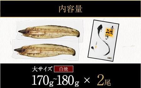 鹿児島県大隅産 千歳鰻の 白焼鰻「大」2尾｜うなぎ うなぎ