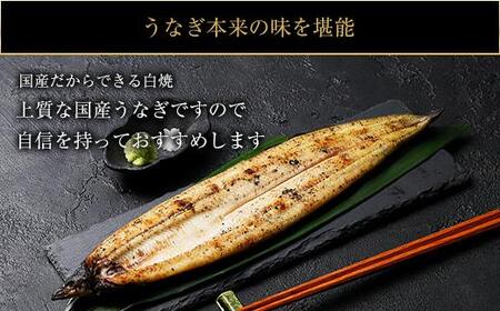 鹿児島県大隅産　千歳鰻の白焼き鰻　3尾