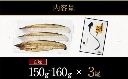 鹿児島県大隅産　千歳鰻の白焼き鰻　3尾