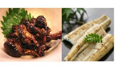 鹿児島県大隅産　千歳鰻 の 白焼 鰻　5尾・ 鰻焼肝 セット｜うなぎ うなぎ